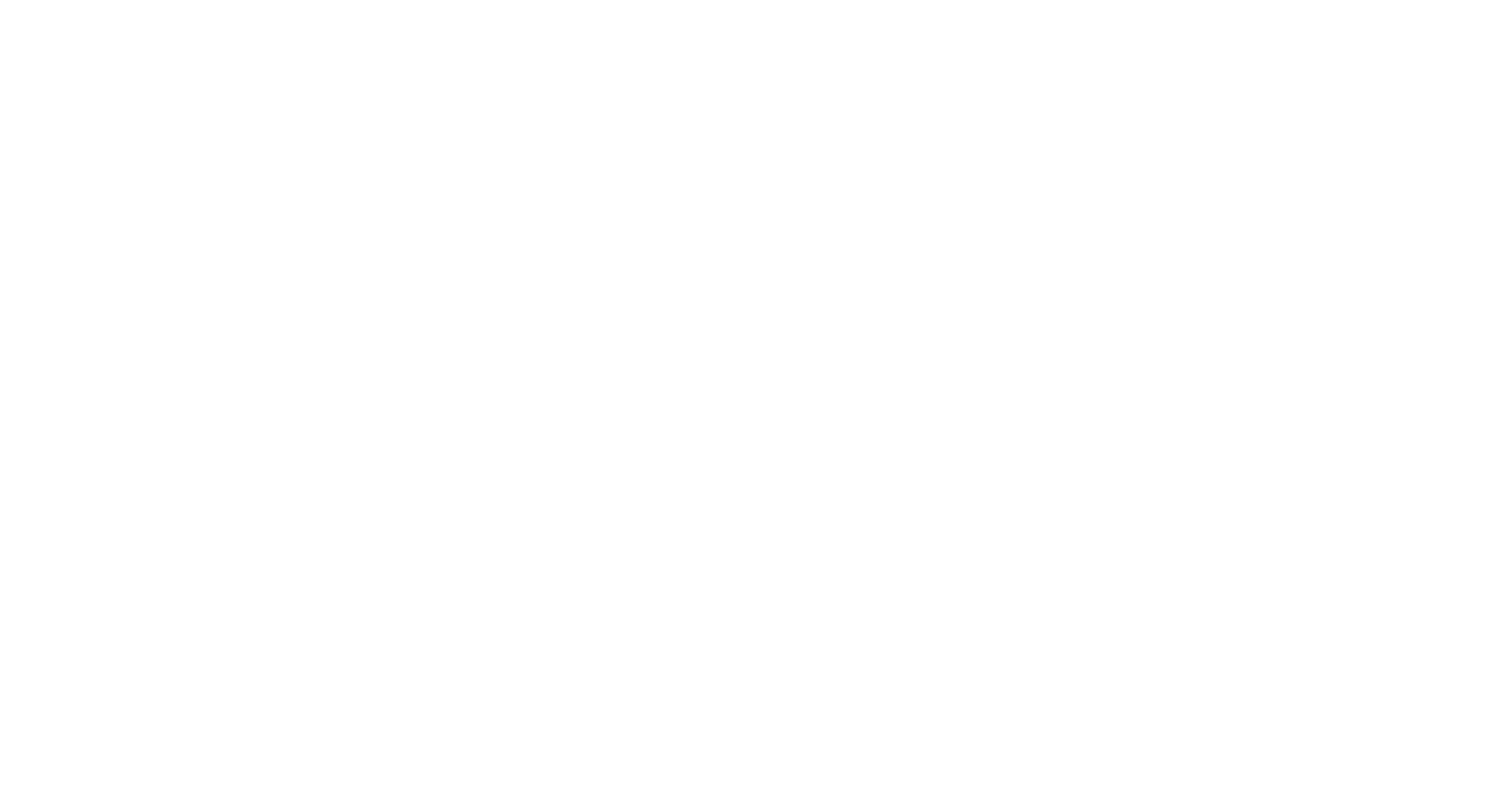 Mango Cat tien